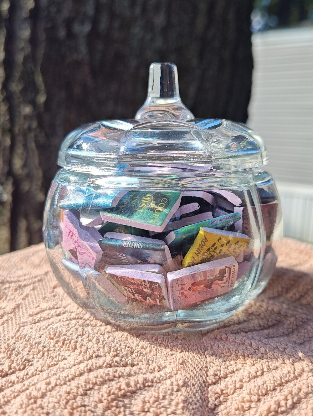Pumpkin Book Jar 100 Mini Books
